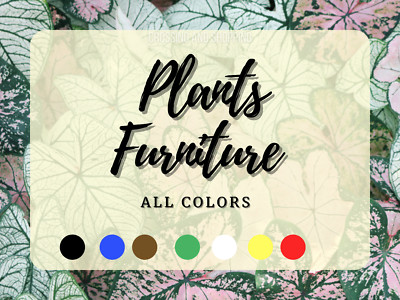 POTTED PLANTS | ALL Colors