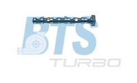 BTS Turbo Nockenwelle CP10243 FüR VW 3B6 Passat 3B2 3B3 3B5 B5 Variant TDI Audi