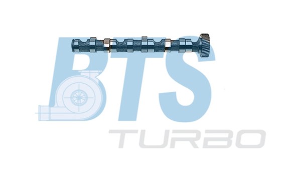 BTS Turbo Nockenwelle CP10243 FüR VW 3B6 Passat 3B2 3B3 3B5 B5 Variant TDI Audi-image