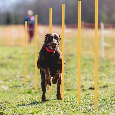 6PCS -Fußball -Agility -Trainingstangen, Fußballtrainingspflichten,