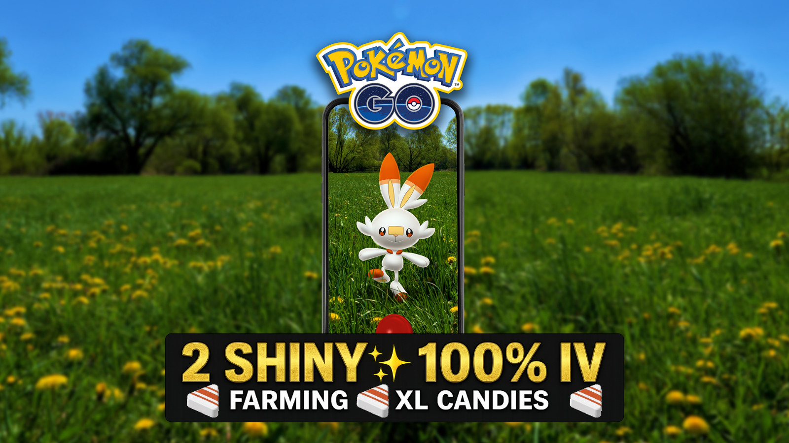 Chasse Pokemon GO Vulpix Shundo et bonbons XL pour jouer sans contrainte