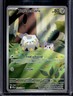 2025 Pokemon Phantasmal Flames Togedemaru Illustration Rare #104/094