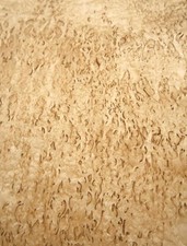 Birke Maser Holzfurnier Maserbirke 109x29-32cm 2 Blätter