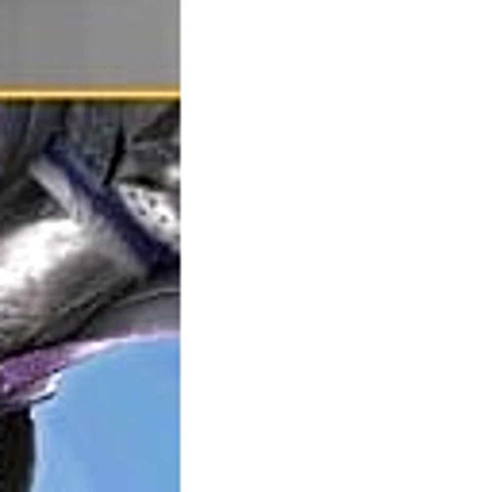 Sengoku Basara: Chronicle Heroes PlayStation Portable PSP NTSC-J CIB - Image 4 of 4