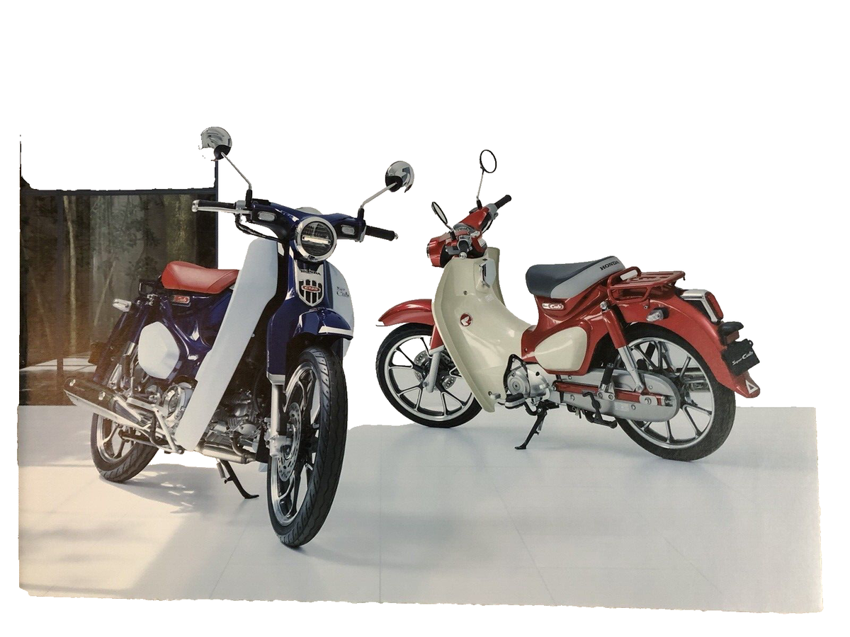 スーパーカブ　c125 ja58 美車 ホンダ スーパーカブC125 2023年式 8BJ-JA58の諸元・スペック情報