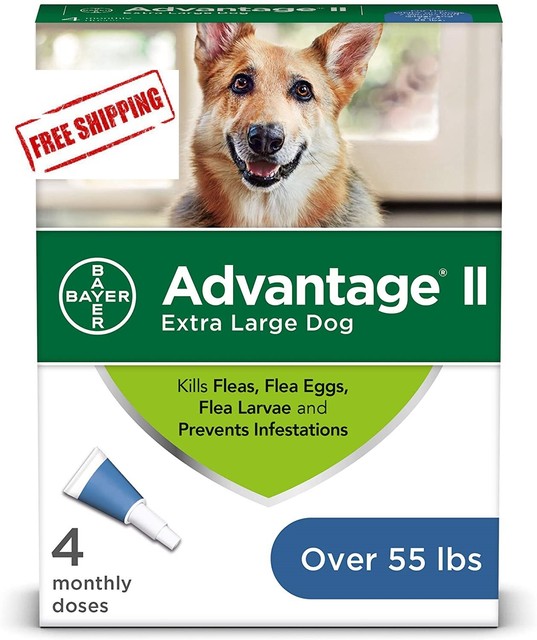 advocate medium dog