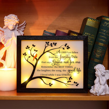 Sympathy Gift LED Memorial Shadow Box Memorial Gifts for Loss of Loved One - ...