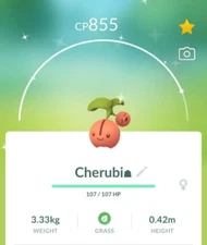 Pokémon - Shiny Cherubi - P T C - 80k stardust - Please see description