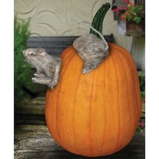 Realistic Furry RAT Pumpkin Push Ins EASY WAY TO DECORATE PUMPKINS New