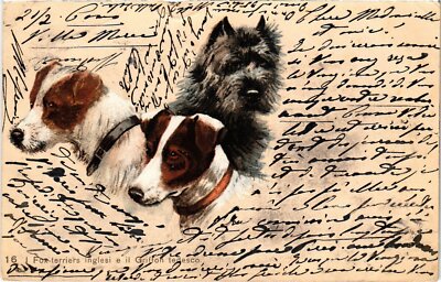 CPA AK Fox-Terriers Inglesi e il Griffon Tedesco DOGS (1388427)