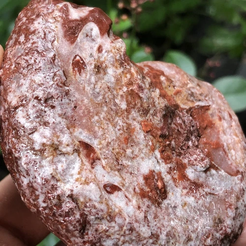 153gr 驚くべきペルミアン 全体 ラフ 薄い アンモナイト 化石 モルスカ - 画像10/11