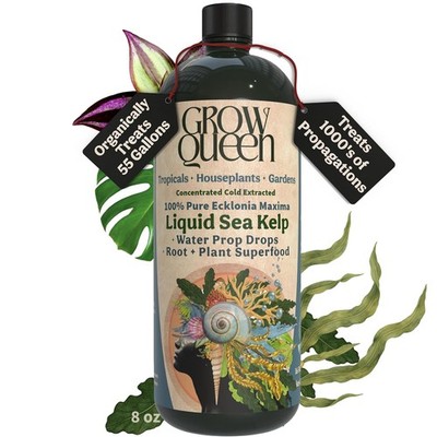 Organic Liquid Kelp & Seaweed Extract Prop Drop (Ecklonia Maxima)   Root + Plant