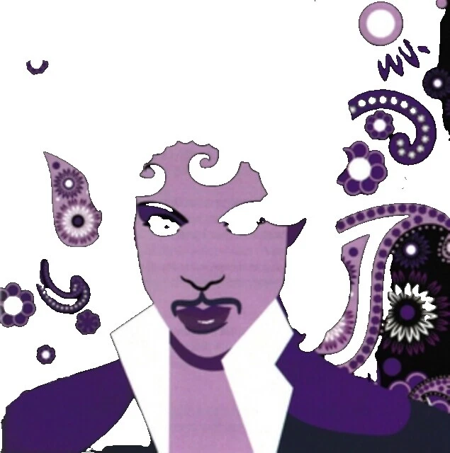 Prince Rock Music CDs