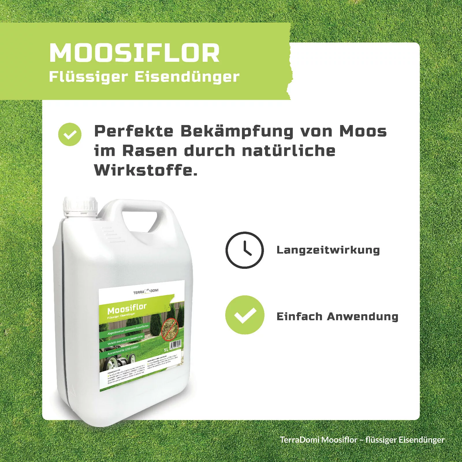 Bild 2 von 6