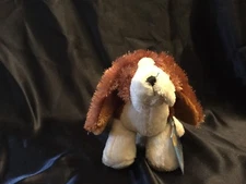 Webkinz Lil'Kinz Basset Hound
