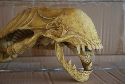 ALIEN SKULL Head Xenomorph (Kunstharz/art resin) - OGRM/like Sideshow H.R. Giger