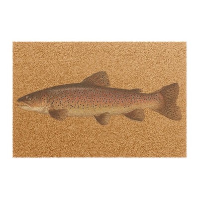 Doormat, Brown Trout 