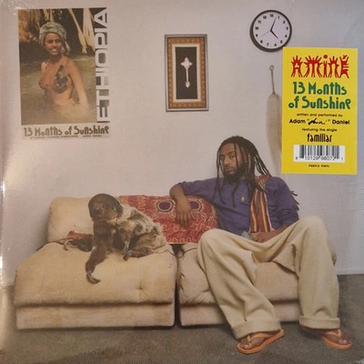 Aminé - 13 Months Of Sunshine