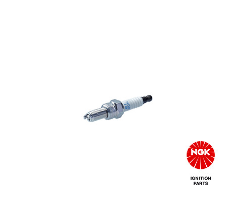 Spark Plug NGK 4948