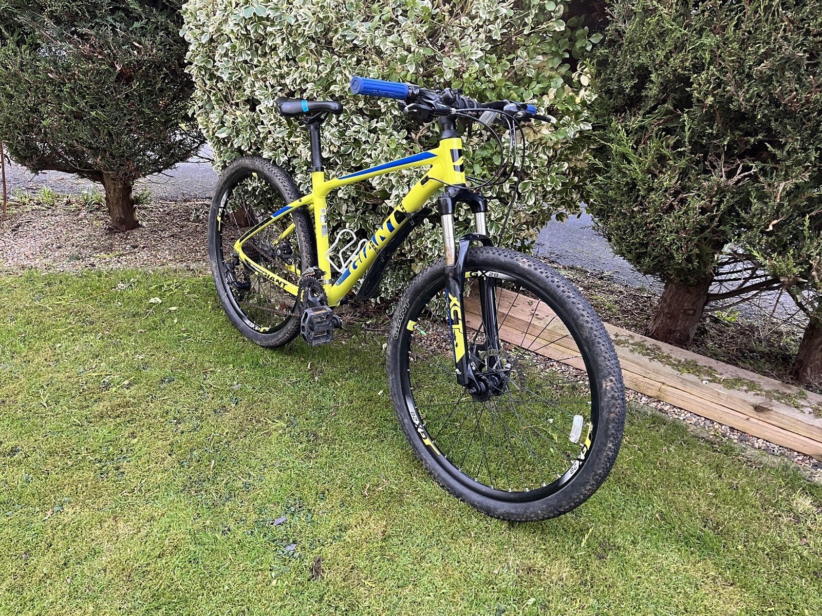 giant mountain bike eBay