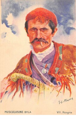 Hungary - No. 70070 - Musculosine Byla - Hungarian smoking - Advertising card
