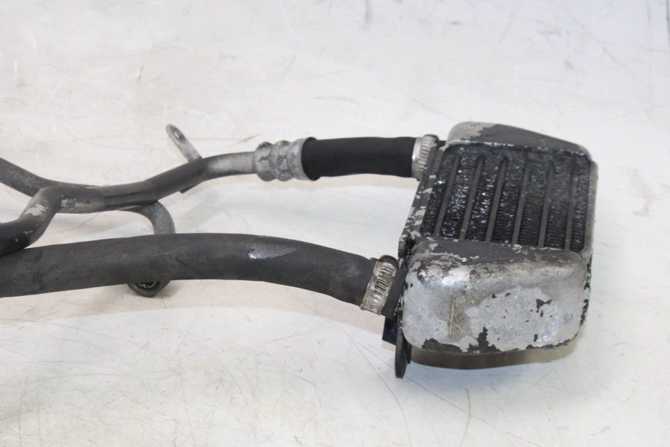 95-01 BMW R1100R OEM MOTOR ENFRIADOR DE ACEITE DE MOTOR Foto 2 de 4