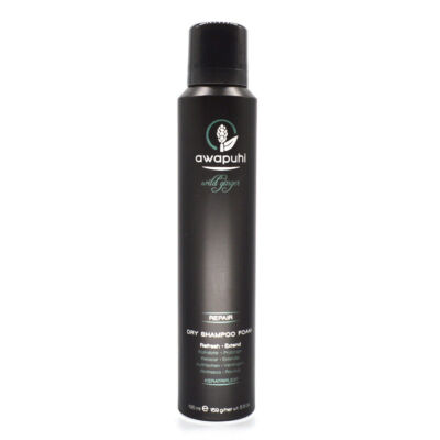 Paul Mitchell Awapuhi Wild Ginger Repair Dry Shampoo Foam 5.6 oz NEW