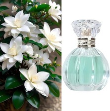 Eau de perfumery Toilette Fraiche Parfumes Spray Agua de perfume for Women