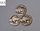 1913+1913-D+1913-S Buffalo Nickel Set/Lot ~ Type 1 ~ ZBL22