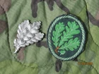2-WWII WW2 WEHRMACHT MILITARY GERMAN JAGER ARM PATCH & CAP EMBLEM ORIGINAL