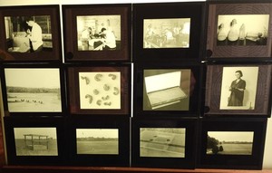 (19) Antique SCIENCE LAB-Magic Lantern Slides-Scientists, Archeology, Etymology