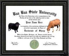 SHEEP  Lover's Doctorate Diploma / Degree Custom Designed for YOU