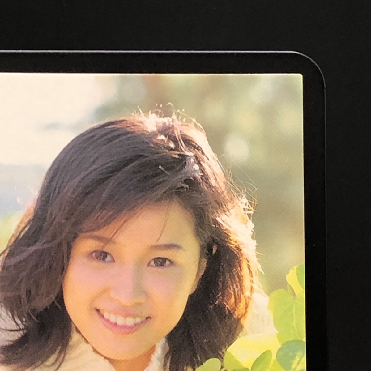 Asami 　no4 Asami Shibata AVANT GARDE OFFICIAL CARD COLLECTION CCG Japanese