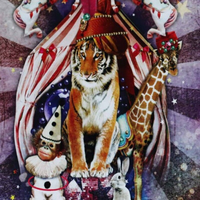 Baumwolljersey Panel Tiger Zirkus Breite 145 x 85 cm Bunt nähen