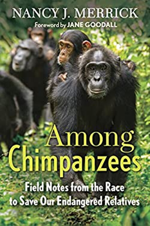 Among Chimpanzees : Field Notes from the Race to Save Our Endange