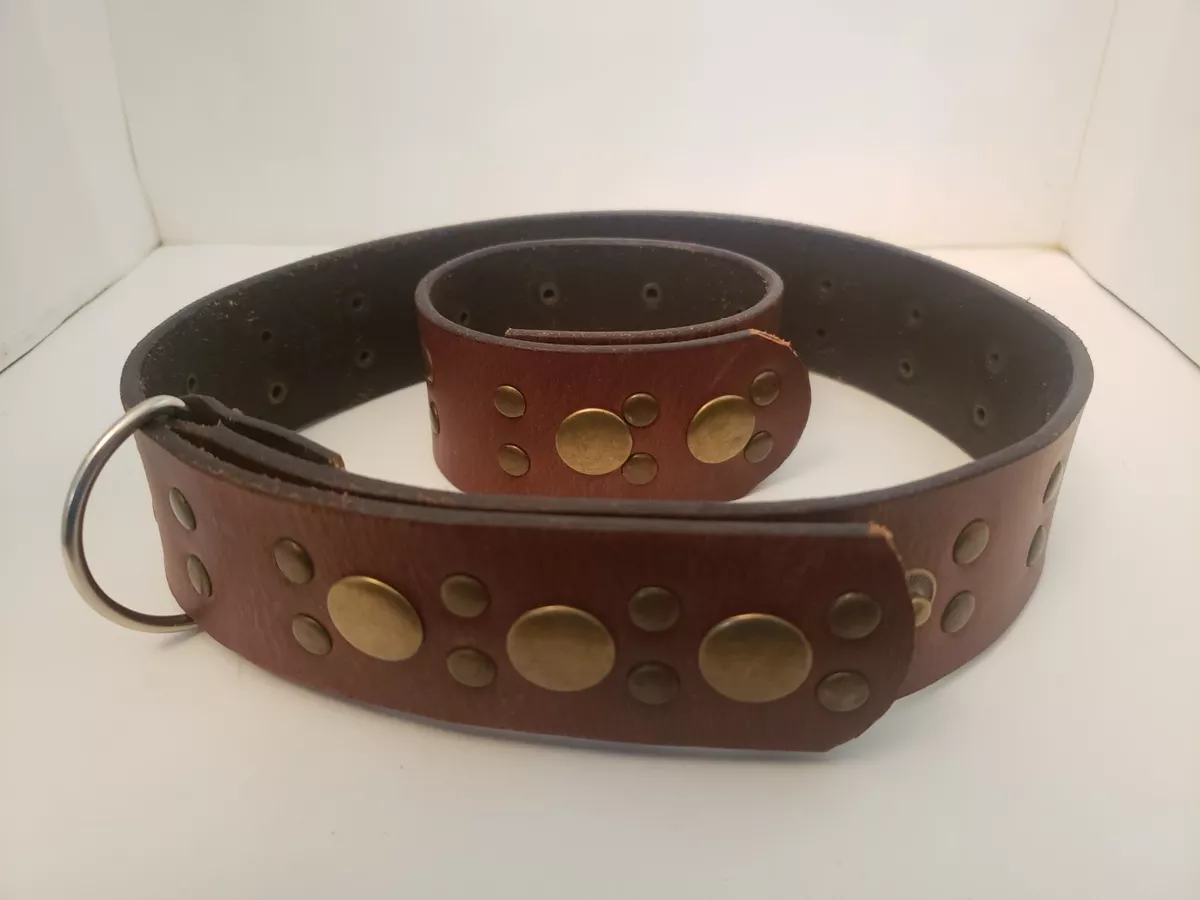 Matching dog hotsell bracelet and collar