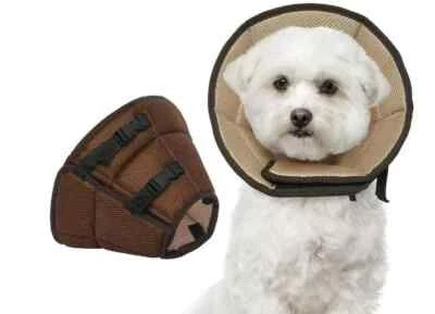 Kuoser Orange Soft Dog Cone Collar S Small