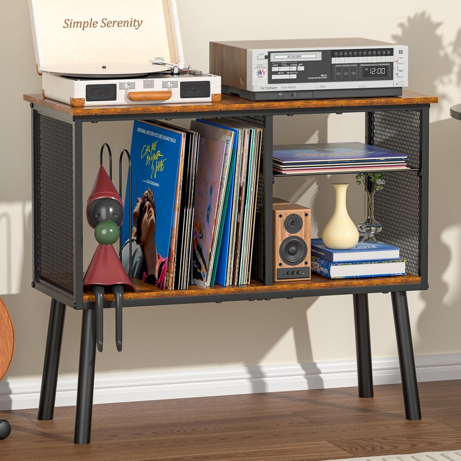 Adjustable Vinyl Record Stand Holds 200 LPs with Storage Dividers