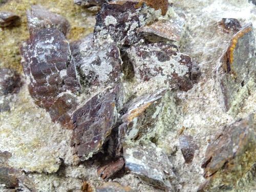 LARGE NATURAL CLUSTER of AXINITE CRYSTALS ON MATRIX - 1.039 kgs 16.5 x 10.5 cms - Picture 5 of 7