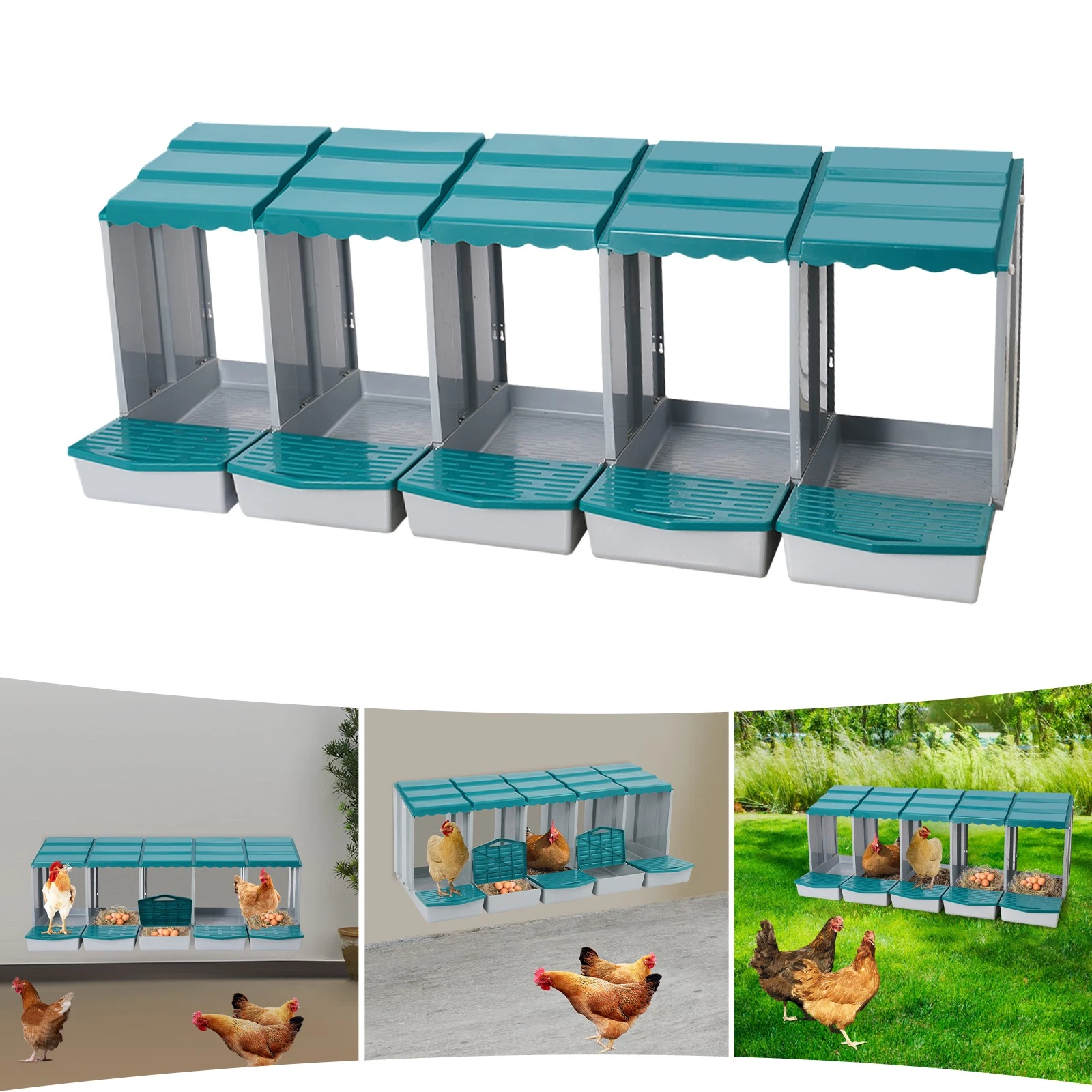 5 Separate Compartments Chicken Nesting Box Chicken Nest Boxs Chicken Laying Box