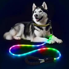 Light Up Dog Leash, LED Pet Leashes USB Rechargeable, Glow Safety Dogs Lights at