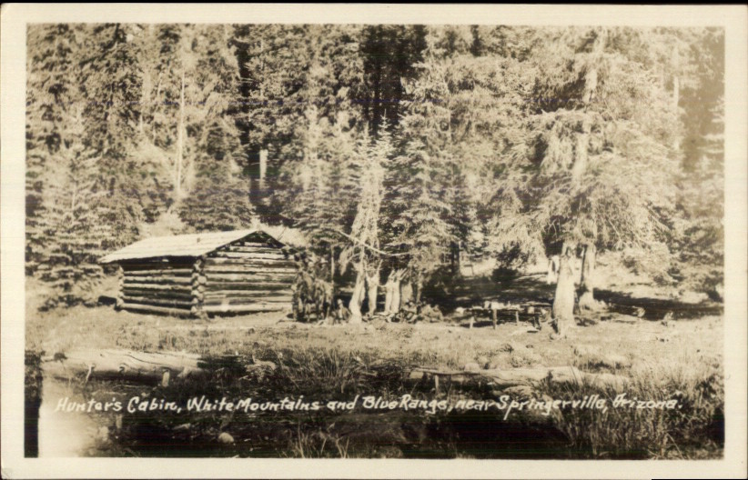 Near Springerville AZ Hunter's Cabin White Mountains Blue Ranges RPPC eBay