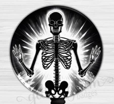 X-Ray Tech Badge Holder, Radiology Badge Reel, ID Retractable 6595