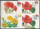 XE59661 Belgium 1999 -2008 flowers nature maxicards used
