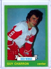 1973-74 O-Pee-Chee #220 Guy Charron - Detroit Red Wings - SET BREAK
