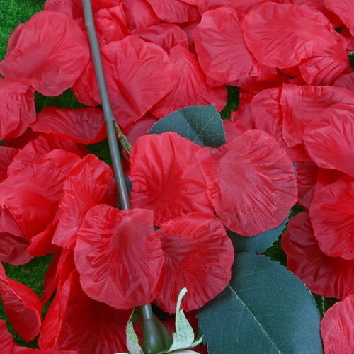1000 Stück lebensechte künstliche Seide rote Rosenblätter Dekorationen für - Bild 11 von 12