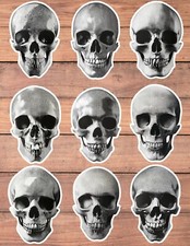 Dotted Skull Die Cut Vinyl Stickers Set Scrapbooking Laptop Waterbottle