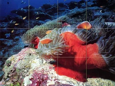 17 x 12.75 Art Ceramic Mural Ocean Bath Backsplash Tile #34