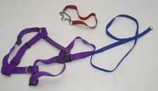Lot Of Dog Supplies - Collar, Short Leash, Harness 