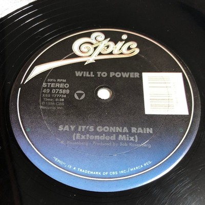 Will To Power - Say It's Gonna Rain 12'' Single 1988 Epic Dance